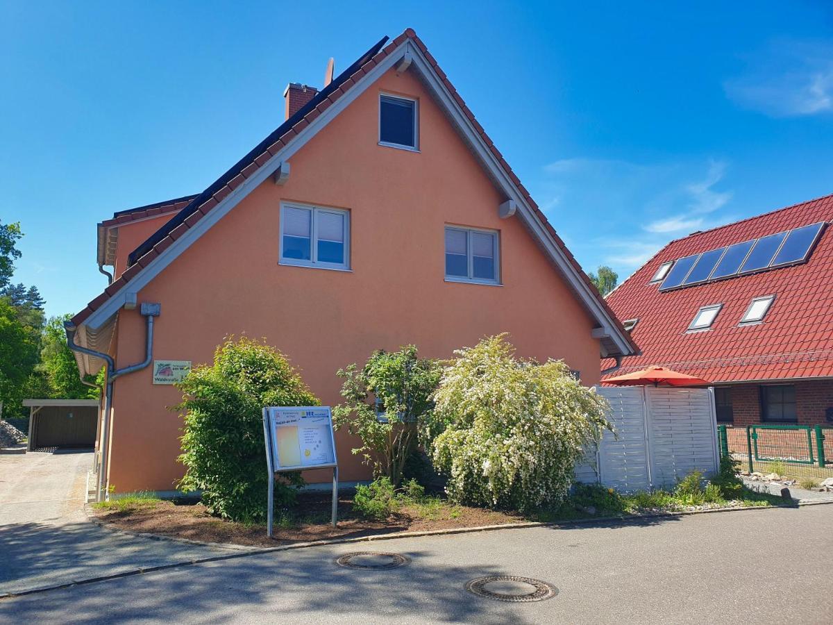 Moderne Fewo Nr 4 Mit Balkon, Sauna Im Haus, Garten - Ferienwohnungen Am Wald Klein Gelm Esterno foto